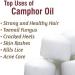 Salvia Camphor Oil (Cinnamonutn camphora) Natural Pure Undiluted Uncut Carrier Oil 100ml Camphor 100ml - Buy Online on GoSupps.com