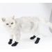 Hemoblo Cat Claw Covers - Breathable Mesh Scratch Protection 4 Pcs - Black Paw Caps for Fur Care & Bathing (10x9x0.5cm) - Buy Online on GoSupps.com