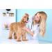 Puppy Kitten Whelping Kit Whelping Kit with Feeding Nipple Bottle Stethoscope Scissors Cord Clamps Aspirator etc Full kit - Buy Online on GoSupps.com