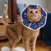 Doryum Cat Cone Collar Cat Recovery Collar Adjustable Cat Soft Cone Collar Pet Protective Cotton Cone Elizabethan Collar for Cat Pet Protective Collar Cat Cones After Surgery (Medium) - Buy Online on GoSupps.com