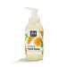 365 by Whole Foods Market Foaming Hand Soap Satsuma & Eucalyptus 12 Fl Oz Eucalyptus 12 Fl Oz (Pack of 1)