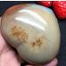 Natural Sea Ancient Rock Specimen Heart - Buy Online on GoSupps.com