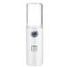 USB Facial Mister Spray - 20ml Cold Sprayer for Skin Hydration & Replenishment - Buy Online on GoSupps.com