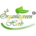 Guava Leaves |Amrood Patti | Koiya ilai|Psidium Guava Leave Dry (100GM) - Buy Online on GoSupps.com