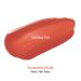 AMUSE DEW TINT Lipstick Glossy Vegan (10 ACHIM FIG) | Korean Cosmetic | Genuine Product | Makeup Tint - Buy Online on GoSupps.com