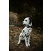 Unique Style Paws Black Satin Dog Collar - Adjustable Loop Pet Collar Gift for Medium Dogs - Buy Online on GoSupps.com
