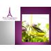 Caiaue Oil (Ojon Oil) 1 Oz - 100% Natural & Unrefined - Brazilian Amazon - Cold Pressed - Buy Online on GoSupps.com