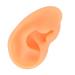 Soft Waterproof Right Ear Display Mould for Hospitals - Flexible & Lifelike Model - Buy Online on GoSupps.com