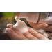 Kingfisher Noni Foam Cleanser | Organic Hypoallergenic Facial Cleanser for Sensitive Skin | Fragrance-Free & Infant Safe - 5.1 Fl Oz (150ml - Buy Online on GoSupps.com