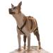 Walkabout Double Knee Brace + Chest Halter Combo Treat CCL and Other Canine Joint Injuries with this Vet-Recommended Compression Brace Built for Immediate Support and Rapid Relief Best Used for Pre/Post Operative Rehabilitation or as an Alternative To Cos