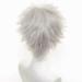 YEESHEDO Unisex Short Bob Anime Cosplay Wigs Full Natural Layer Straight Fluffy Hair Costume Party Fancy Dress Wig for Women Men Boy Girls (Silver Gray) - Buy Online on GoSupps.com