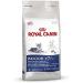 Royal Canin Indoor 7+ Adult Dry Cat Food 400g - Buy Online on GoSupps.com