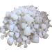 Banslochan Tabasheer Bambusa Tabashir Bambusa Synthetic bamboo basket (250 g/m )