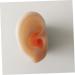 Healifty 1 Pair Fake Ear | Simulated Ear Model for Practice | Ear Cleaning and Acupoint Learning Tool - Buy Online on GoSupps.com