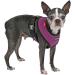 Puppia Dog Harness for Small & Medium Dogs - Soft Colorful & Versatile - Atani Training Harness in Purple - Buy Online on GoSupps.com