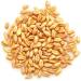 Yupik Organic Wheat 1 kg Non-GMO Vegan Kosher Raw Whole Grains Salt-Free Oil-Free Source of Fiber Sprouts Easily Ideal for Baking & Cooking 1 kg (Pack of 1) - Buy Online on GoSupps.com