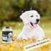 Kr uterland Coconut Oil for Dogs 500ml - Pure Cold-Pressed Unrefined Coconut Fat - Premium Quality Pet Oil - Buy Online on GoSupps.com