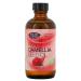 Life-flo Pure Camellia Seed Oil 4 fl oz (118 ml)