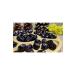 Sazak Olive Olive Oil Sazak Black Olive Large Caliber Natural Flavoring Natural Fermented Black Olive 900 gr 261-290 - Buy Online on GoSupps.com