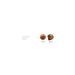 LavAzza Expert Gusto Forte Coffee Beans 1 1 1 Kg - Buy Online on GoSupps.com