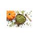 Astronut Pumpkin Seeds (UNSALTED RAW) 500 gr - Buy Online on GoSupps.com