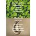 Dermal Cica X Stomach Serum Centella Asiatica and Ceramide Essence Serum 50 ml - Buy Online on GoSupps.com