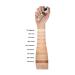 L'Oreal Paris Loreal Infaillible More Than Concealer 322 Ivory - Ivore 11ml - Buy Online on GoSupps.com