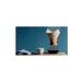 Epinox Chemex 4 Person Coffee Brewing Equipment 600 Ml And Chemex 100-Piece Brewing Paper - Buy Online on GoSupps.com