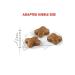 Royal Canin Kitten Dry Cat Food 4 Kg - FarmaPets - Buy Online on GoSupps.com