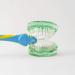 Brush and Bite Handle & Triple Bristle Replacement Brush Head Combo for Special Needs & Autism | Ergonomic Handle with Bite Block | Patented 3 Head Design | Kids & Adults Combo Pack - Buy Online on GoSupps.com
