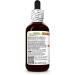 Hawaii Pharm Elecampane Alcohol-Free Extract Glycerite for Respiratory Support Promotes Clear Airways Supports Throat Comfort Encourages Urinary Tract Wellness - 2 fl.oz 2 Fl Oz (Pack of 1) - Buy Online on GoSupps.com