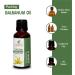 Galbanum Oil 15 ML | 100% Pure Natural Therapeutic Grade Ferula Galbaniflua Essential Oil - Uncut & Undiluted - Buy Online on GoSupps.com
