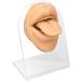 Deosdum Lifelike Silicone Mouth Tongue Model for Jewelry Display - Professional Piercing Practice Tool (Skin Color) - International Shipping Available - Buy Online on GoSupps.com