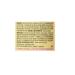 Coffee Mate Powdered Creamer Original 11 OZ - Pack of 3 | Perfect Coffee Enhancer - Buy Online on GoSupps.com
