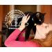 PetAction Plus For Cats - 3 Doses (0.017 fl oz Each) | Flea & Tick Prevention - Buy Online on GoSupps.com