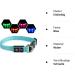 Buy PCEOTLLAR Adjustable Lumplan LED Dog Collar - Reflective & Flashing for Large Medium Small Dogs - Blue (M: 38-50cm) - Buy Online on GoSupps.com