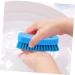 minkissy Nail Brush Nail Cleaner Brush Nail Clean up Brush Shoe Cleaner Shoes Cleaner Fingernail Scrub Nail Scrubbing Brush Toe Brush Small Brush Food Grade Polypropylene 11.5x5cm Blue - Buy Online on GoSupps.com