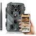 Radioind Wild camera 4G MMS/SMTP 1080P IP65 Waterproof wildlife camera telephone broadcast photo night vision camera 940nm IR LED NO GLOW Wild camera with Motion detector Night vision (without SIM card) 4G-810Lte green 5