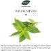 Saunabedarf Schneider Wild Mint Sauna Infusion Concentrate - 250ml | Premium Sauna Experience - Buy Online on GoSupps.com