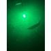 Green Blob Outdoors 15000 Lumen Underwater Fishing Light | Remote Control & Photocell Timer | Texas-Made for Docks | Ideal for Snook & Crappie - Buy Online on GoSupps.com