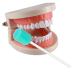 50 Pack Disposable Oral Swabs - Sterile Dental Sponge Swabsticks for Mouth & Gum Cleaning - Unflavored - Sky Blue - Buy Online on GoSupps.com