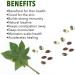 IKJ Castor Oil Softgel 60 Capsules - Pure & Natural Castor Oil Supplement - Buy Online on GoSupps.com