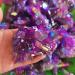 1pcs Natural Quartz Amethyst Cluster Crystal Stone Electroplated Colorful Crysral Cluster Specimen Home Gifts Stone Crystal Reiki (Color : Amethyst Cluster Size : 70-85g) 70-85g Amethyst Cluster - Buy Online on GoSupps.com