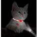 Taglory Reflective Cat Collar with Safety Clasp & Bell - 2-Pack Adjustable Red Collars for Kittens & Cats (15-20cm) - Buy Online on GoSupps.com