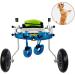 Dog Wheelchair Dog Wheelchair Back Legs Walking Frame with Wheels Best Friend Joint Aid for Dogs Cat Exercise Wheel Support Wheelchairs Dog Mobility Harness Medium - Buy Online on GoSupps.com