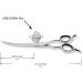 6.5 HASHIMOTO Curved Dog Grooming Scissors - Professional Groomer Design - Buy Online on GoSupps.com