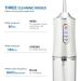 Buy Cordless Electric Water Flosser - Rechargeable Oral Irrigator | 3 Modes 4 Tips Portable IPX7 Waterproof - Ideal for Home & Travel - Buy Online on GoSupps.com