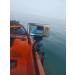 Universal 1.5 Ball Base Fish Finder Mount for Kayak & Boat | Transducer Arm Compatible with Scotty, Lowrance, Garmin | Marine Electronic Mounting Plate - Buy Online on GoSupps.com