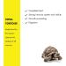 Tetra Tortoise Main Food for All Terrestrial Turtles for Proper Nutrition 500 ml - Buy Online on GoSupps.com