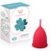 Intimichic Menstrual Cup - Eco-Friendly & Comfortable - 50g | Shop Internationally - Buy Online on GoSupps.com